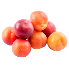 Nectarines